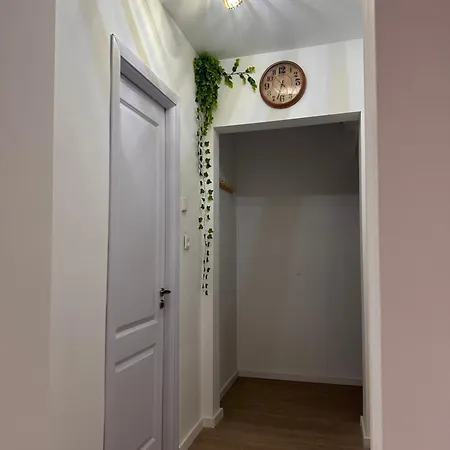 Apartment Cosmo Constanta
